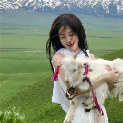 非法图利