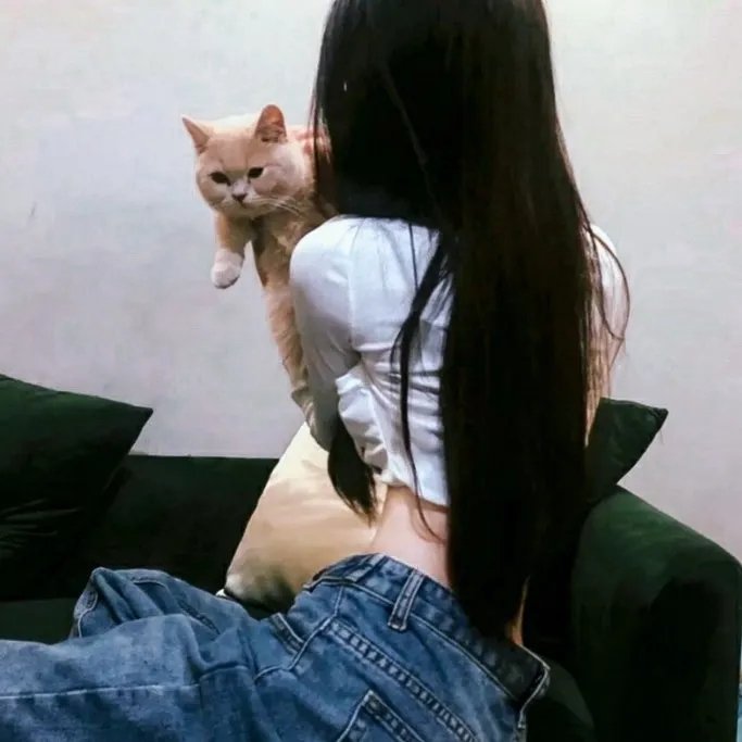 达令我的爱